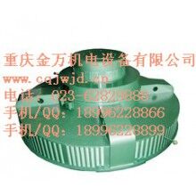 T、TL系列電機(jī)